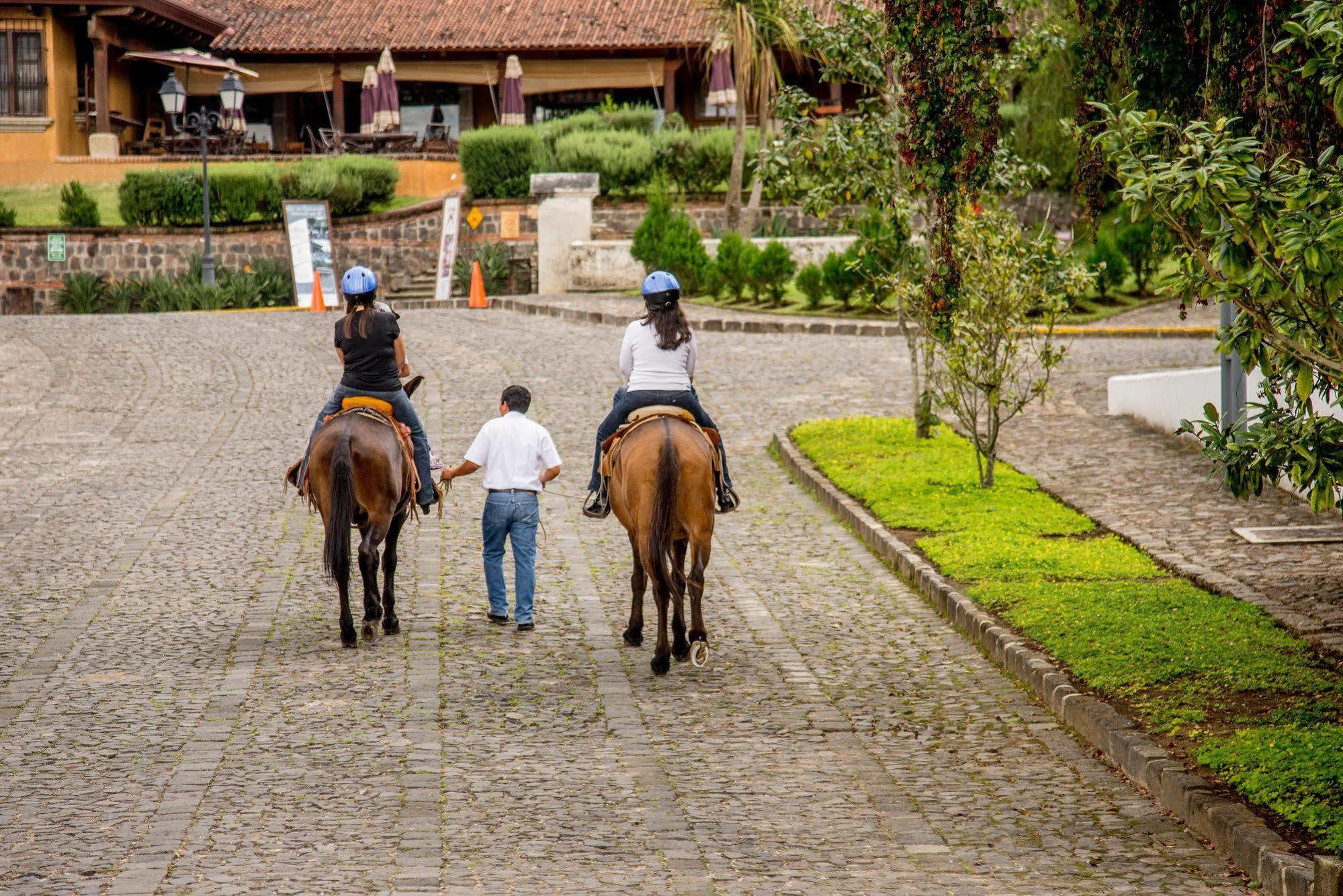 Filadelfia Coffee Resort & Tour Jocotenango Dış mekan fotoğraf