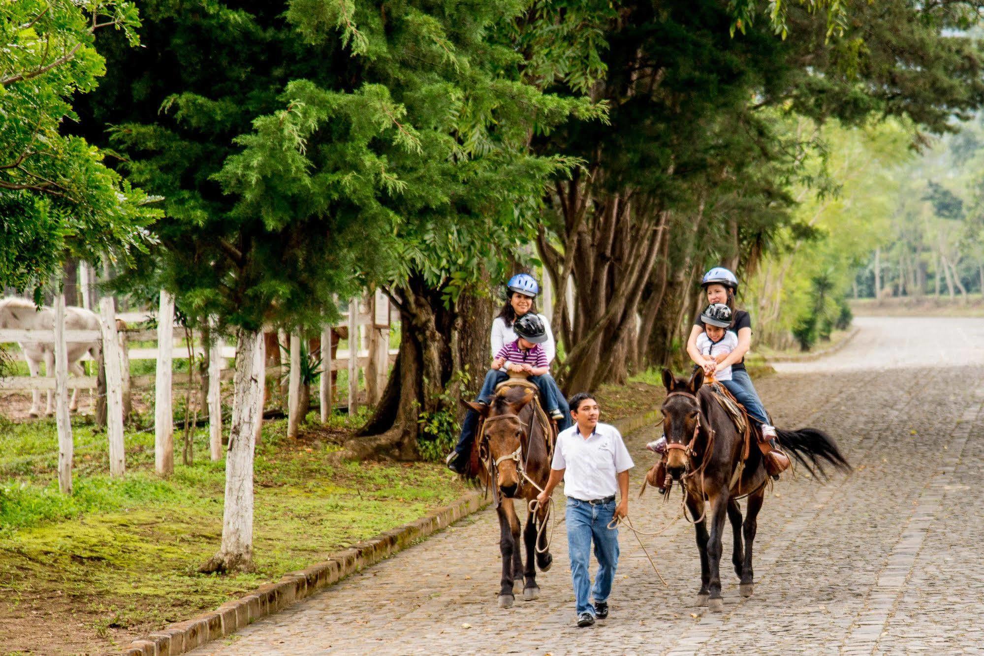 Filadelfia Coffee Resort & Tour Jocotenango Dış mekan fotoğraf